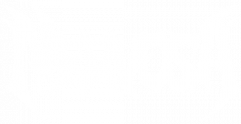 Nervosa Logo