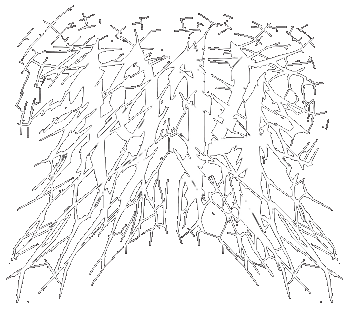 Band logo 1914 - white version of the band's logo - transparent background