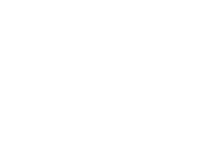 The Gems Logo white