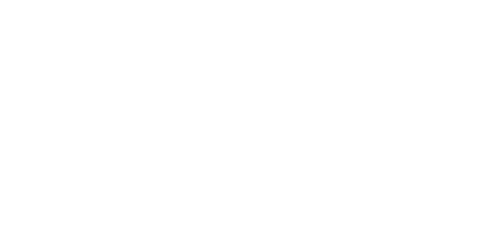 Band logo Dust Bolt - white font-colour - transparent background
