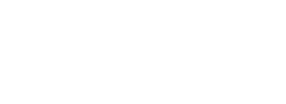 Band logo The New Roses - white font-colour - transparent background