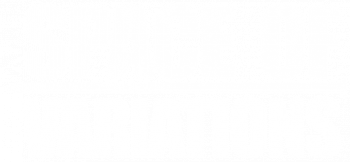 Space Of Variations Logo