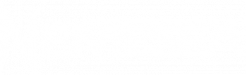Nemesea Logo