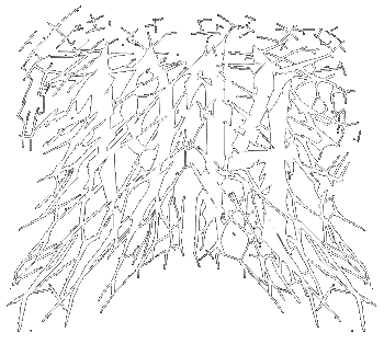 Band logo 1914 - white version of the band's logo - transparent background