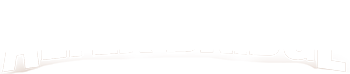 Band Logo Alter Bridge - white font-colour - transparent background