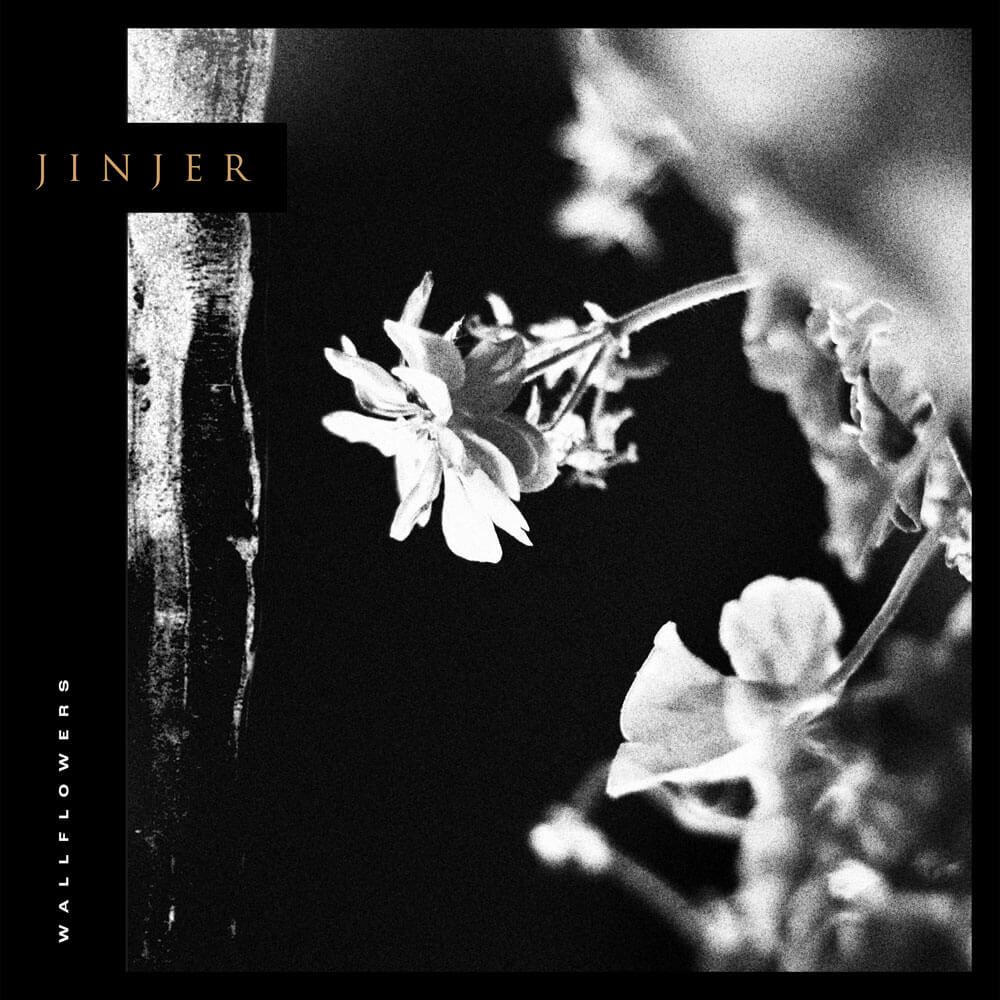 Album cover "Wallflower" - Jinjer