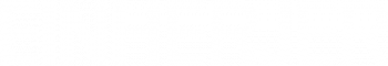 Einherjer Logo 